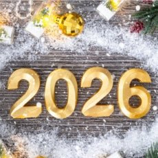 CONSULT25 Persoonlijke jaarreading (video consult) - 2026