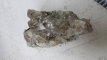 Aegirien in bergkristal cluster