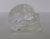 Lemurian skull 143 gram